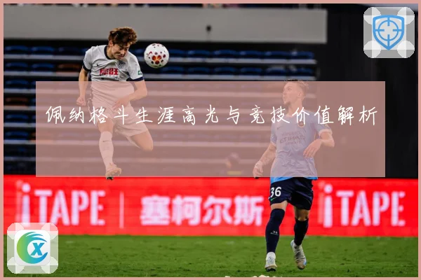 佩纳格斗生涯高光与竞技价值解析